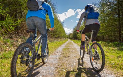 Summer Of Sport: Sporting Activities Near Llandudno