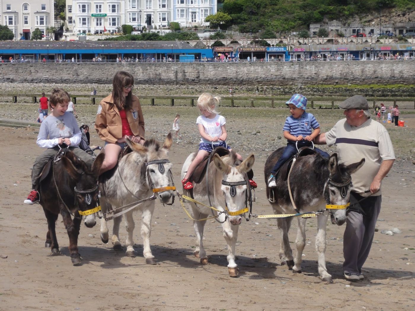 Donkey Rides