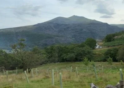 Snowdon