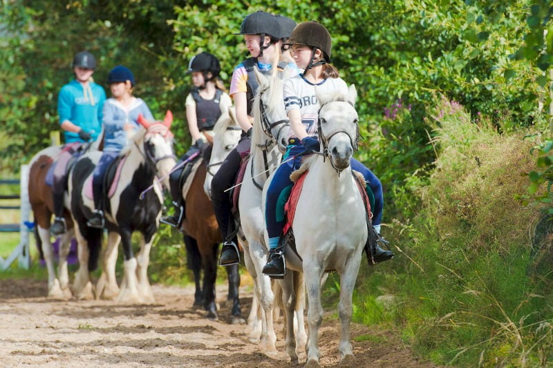 Snowdonia Riding Stables