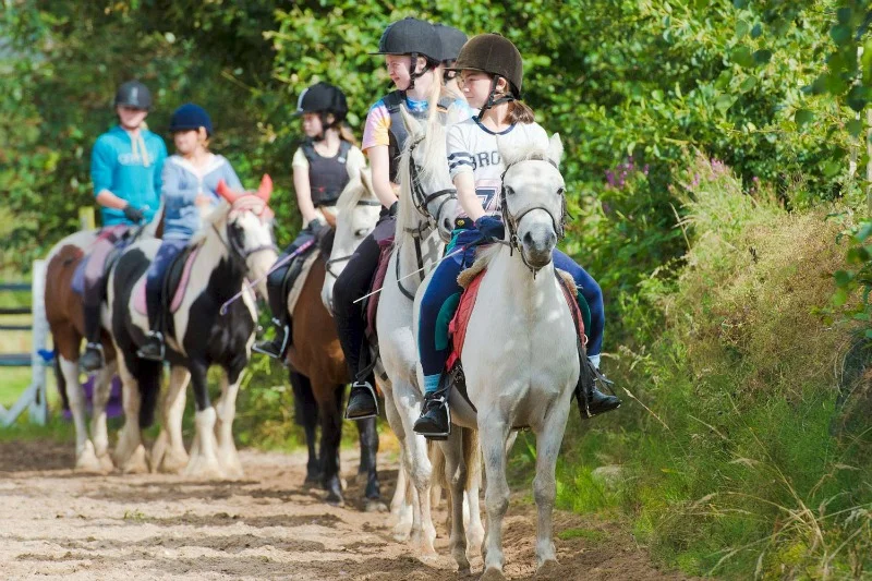 Snowdonia Riding Stables