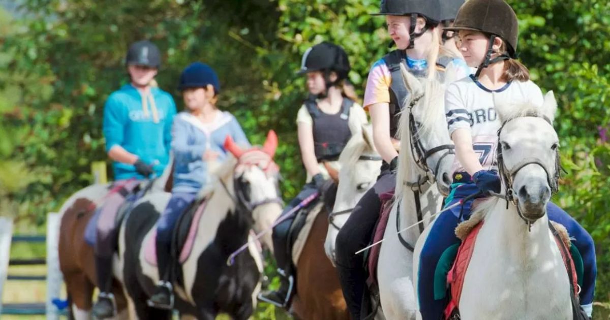 Horse Riding in Snowdon