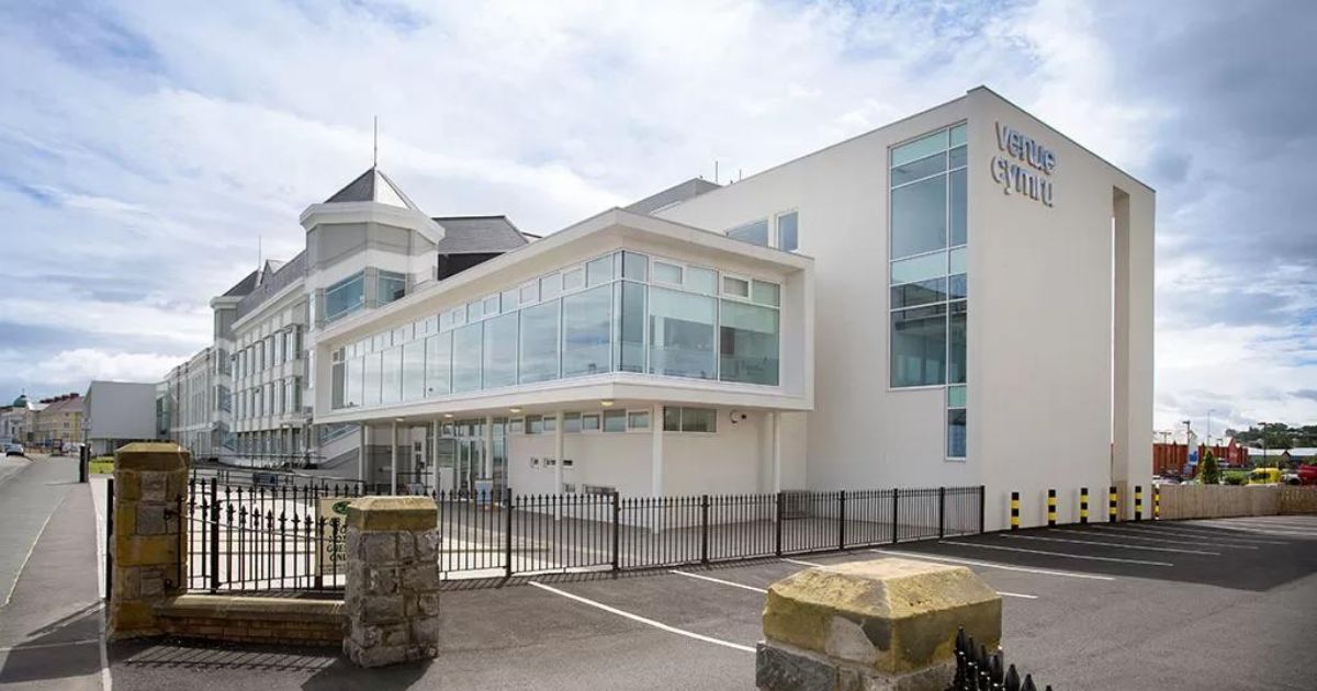 Venue Cymru fish and chips