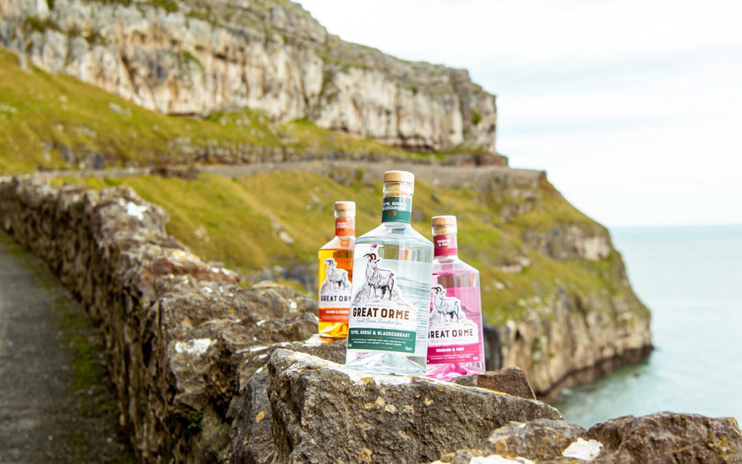 Great Orme Gin