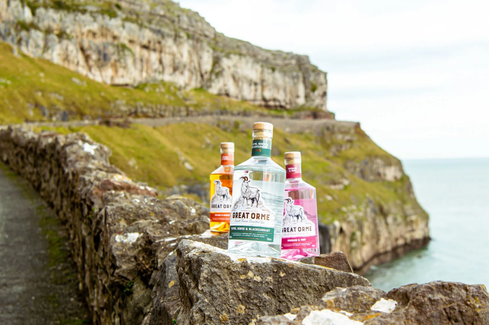 Great Orme Gin