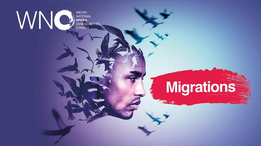 wno migrations