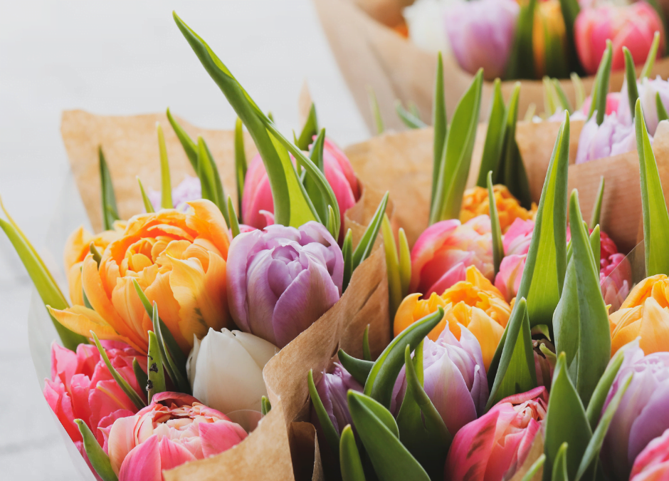 tulips