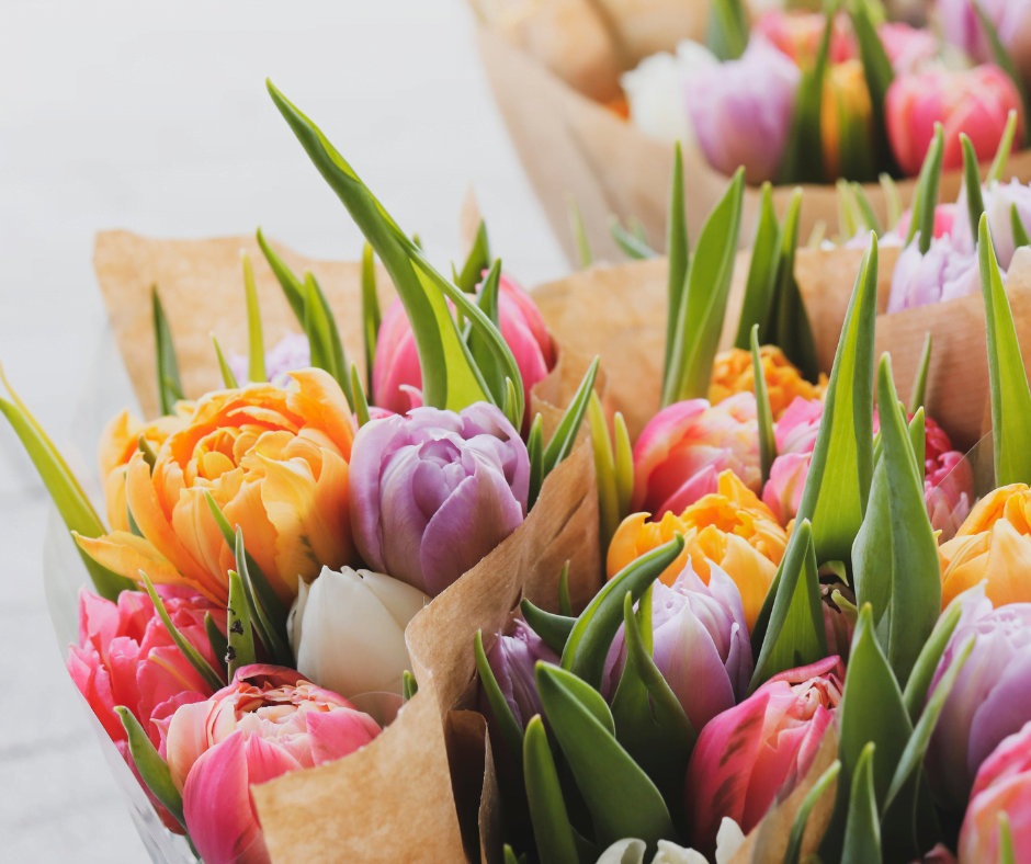 tulips