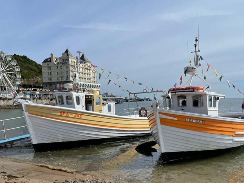 llandudno boat trip