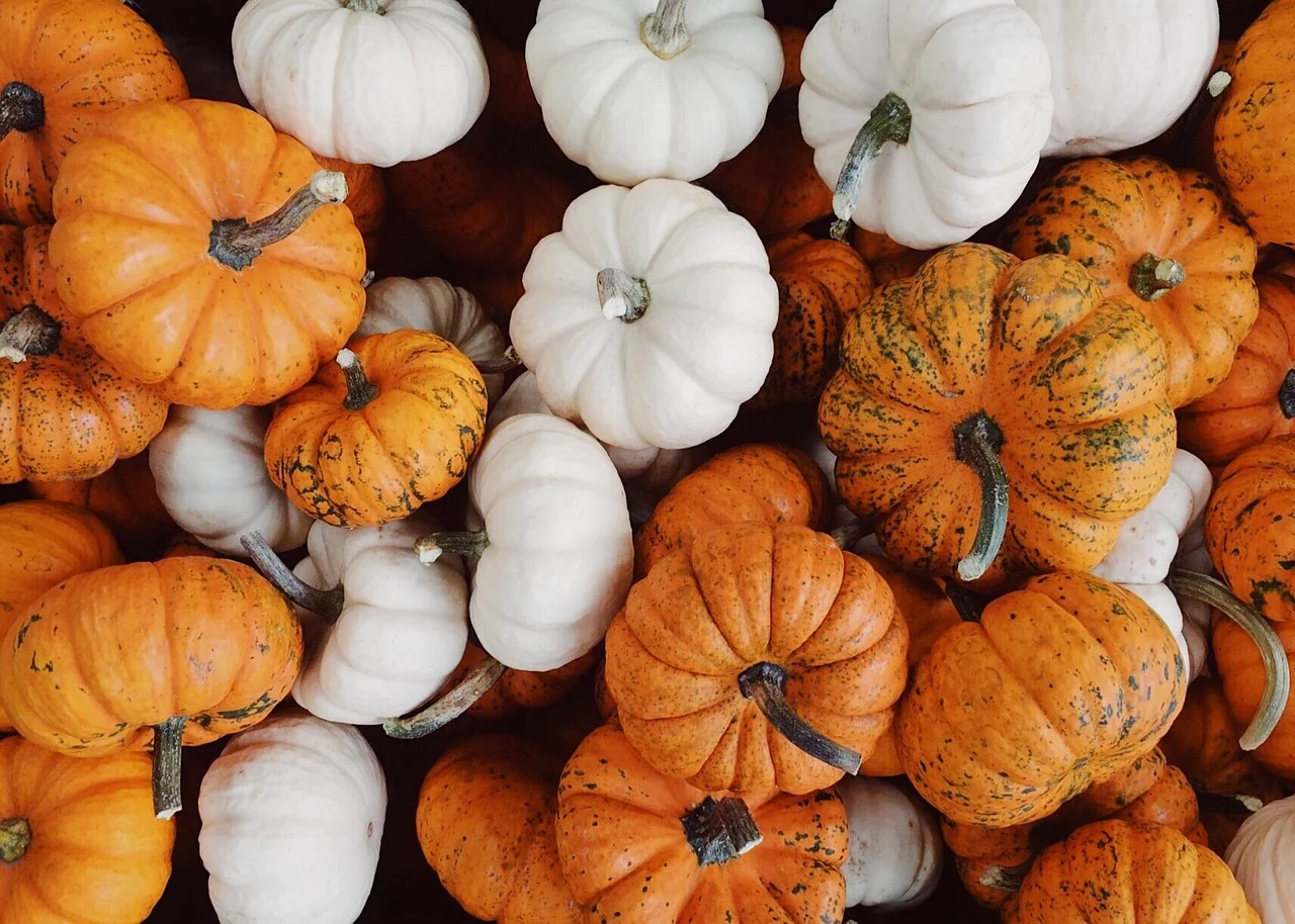 pumpkin patch