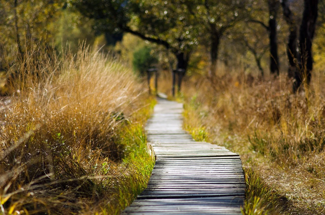 nature