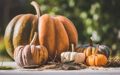 It’s Spooky Season – Where To Go This Halloween