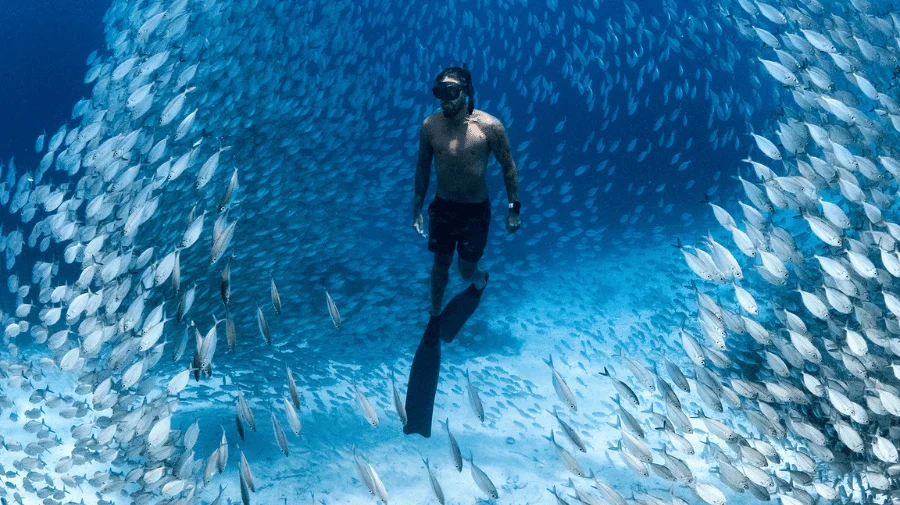 ocean film festival