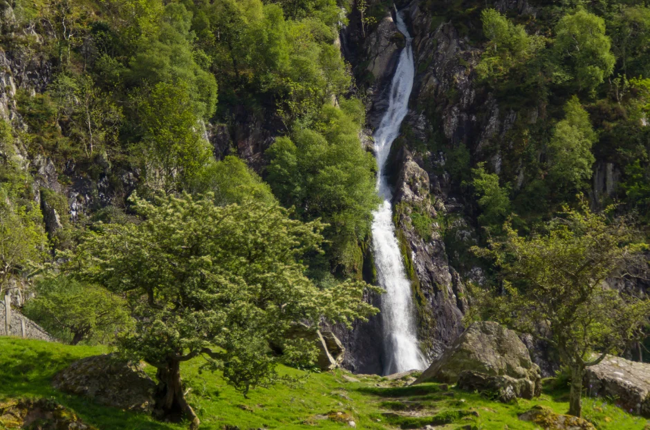 aber falls