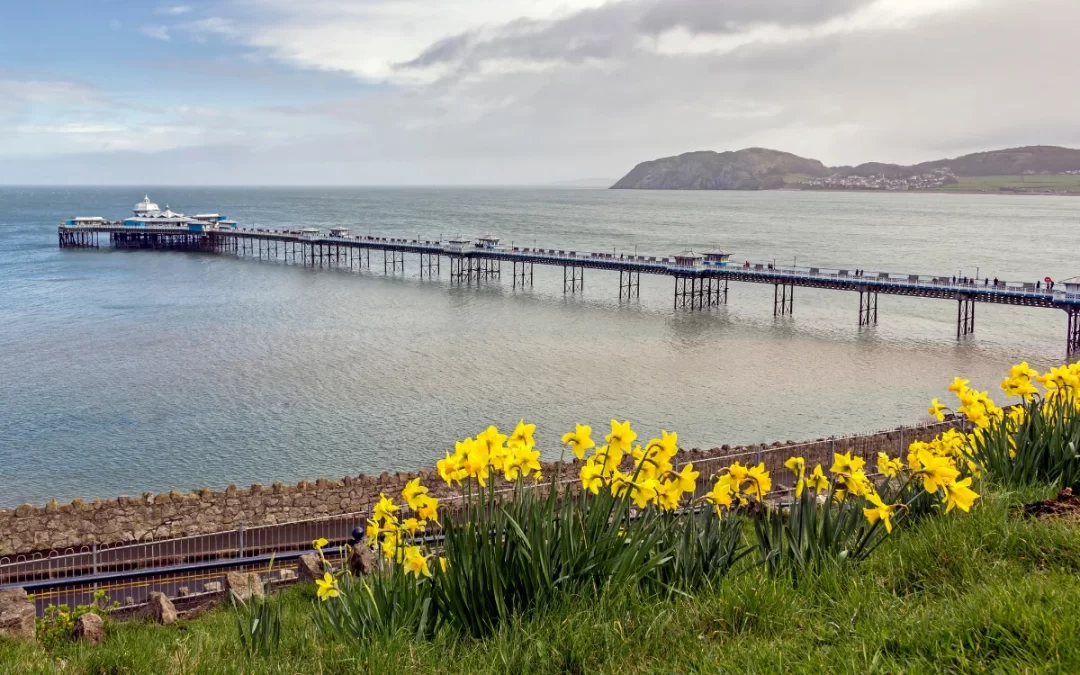 Llandudno-Pier-Spring