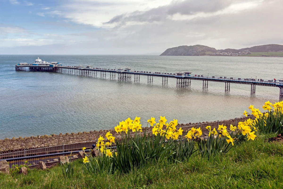 Llandudno-Pier-Spring