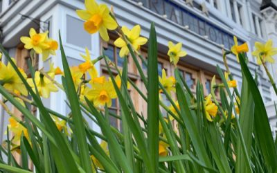 What’s On This Spring in Llandudno