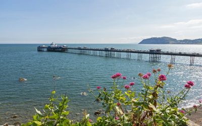 Spring Trails in North Wales: What You’ll See