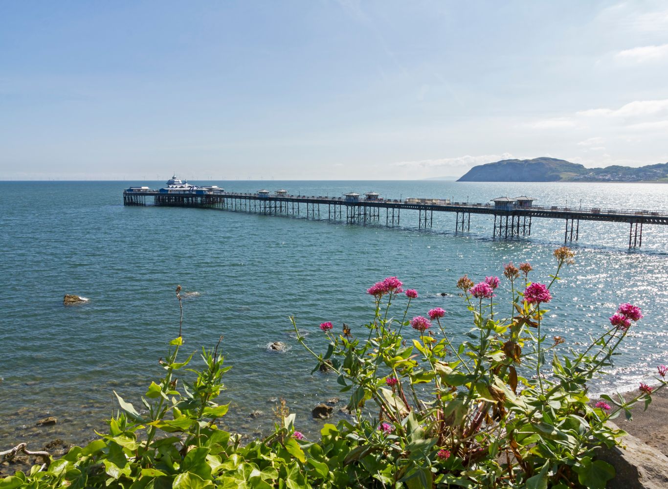 spring in llandudno