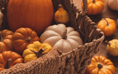 October Half-Term in North Wales